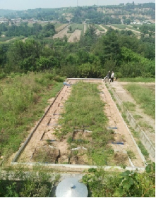 全自動(dòng)土壤水分測(cè)量儀 SBJC-XI